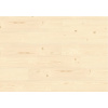 340_velvet_fir_2875