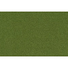 coral_bright_2021-2608_fresh_grass_1155783003