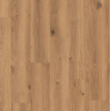 creek_oak_brown