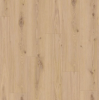 delicate_oak_almond