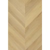 hungarian_point_1616__1802155001