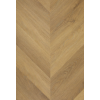 hungarian_point_1618__1030519077
