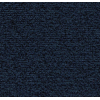 pruisianblue_1706408386