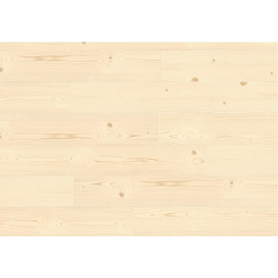 340_velvet_fir_2875
