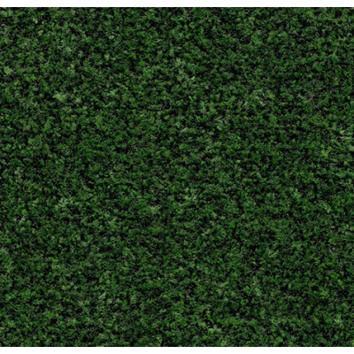 avocado_green