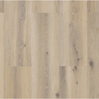castell_premium_871__029_forest_nutmeg