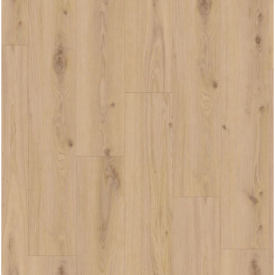 delicate_oak_almond