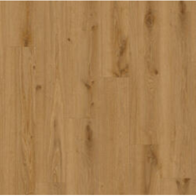 delicate_oak_tofee__917434494
