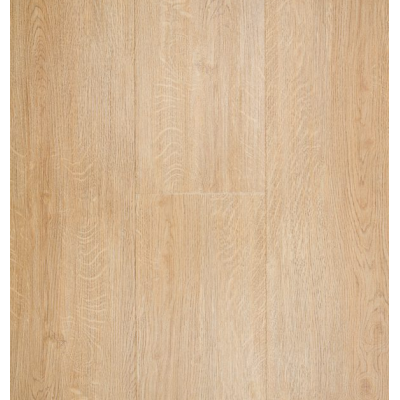 honest_oak_4