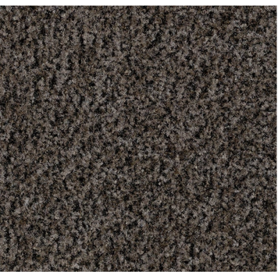 sharkgray