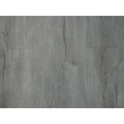 silver_oak1
