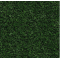 avocadogreen