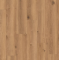 creek_oak_brown