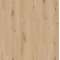 delicate_oak_almond