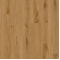 delicate_oak_tofee__917434494