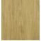 sand_oak_939453320
