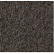 sharkgray